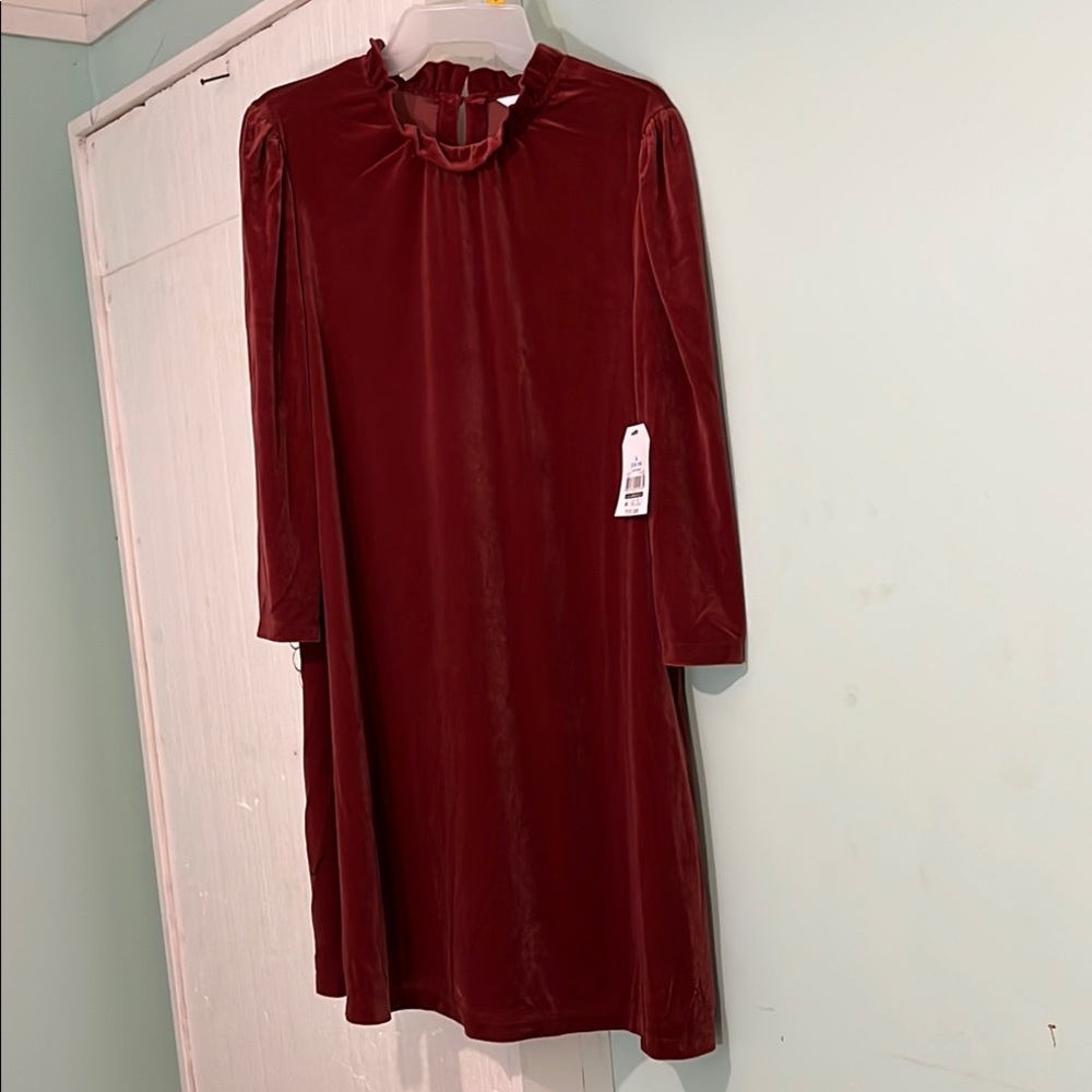 Time and Tru Long Sleeve Beautiful Velvet Dress in Rich Burgundy Size Large NWT